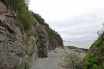 PICTURES/Waterfalls to Fossils/t_Cape Enrage - Fossil Beach2.JPG